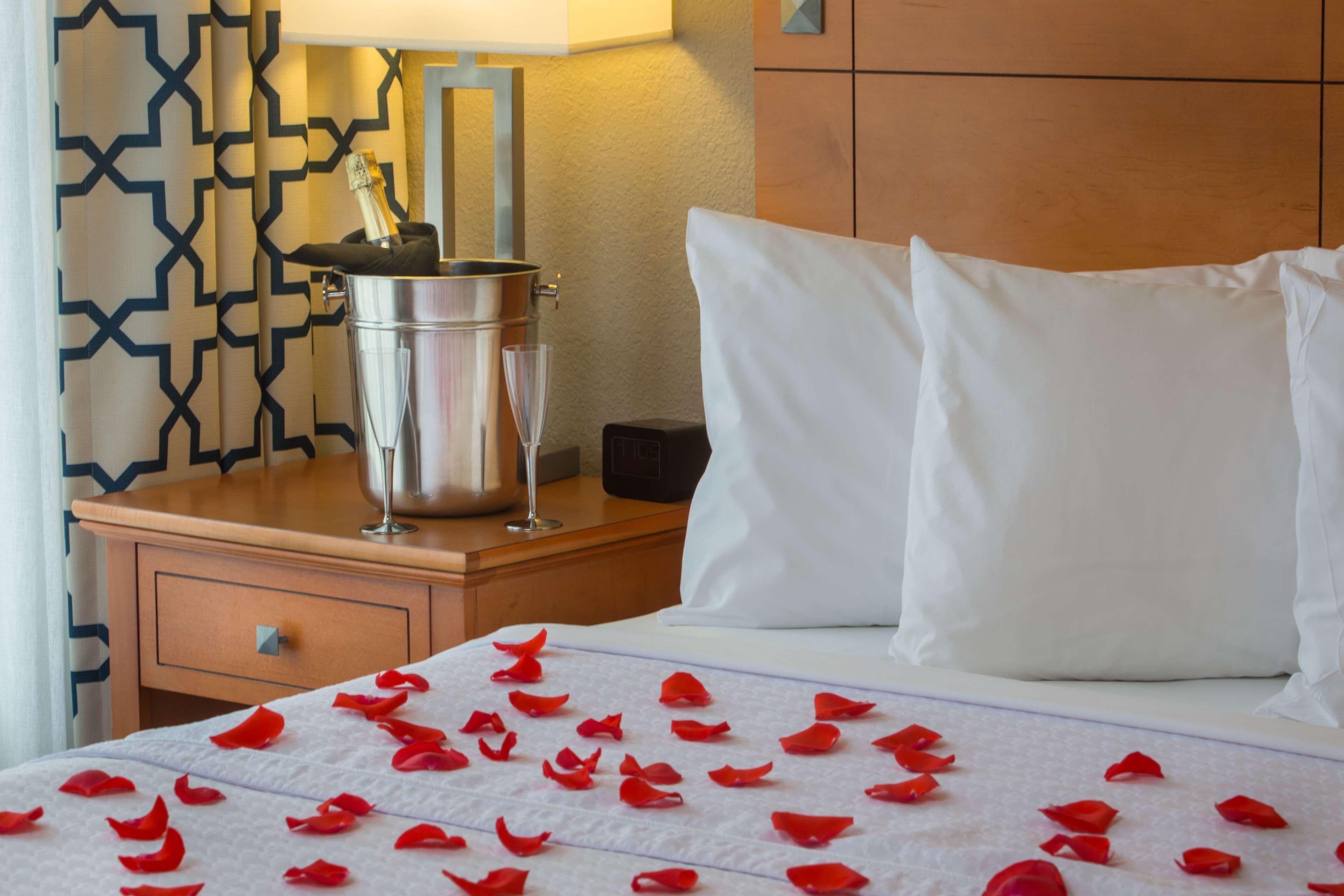 Homewood Suites By Hilton Orlando-International Drive Convention Center