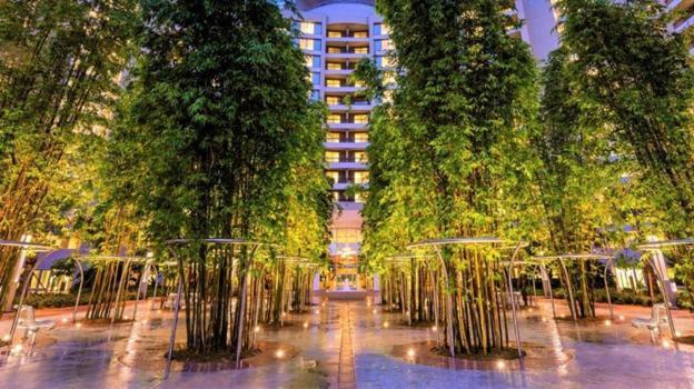 Bay Tower At Disney's Contemporary