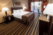 Hotel Holiday Inn Main Gate East Kissimmee