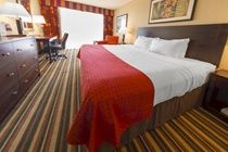 Holiday Inn Main Gate East Hotel 3*