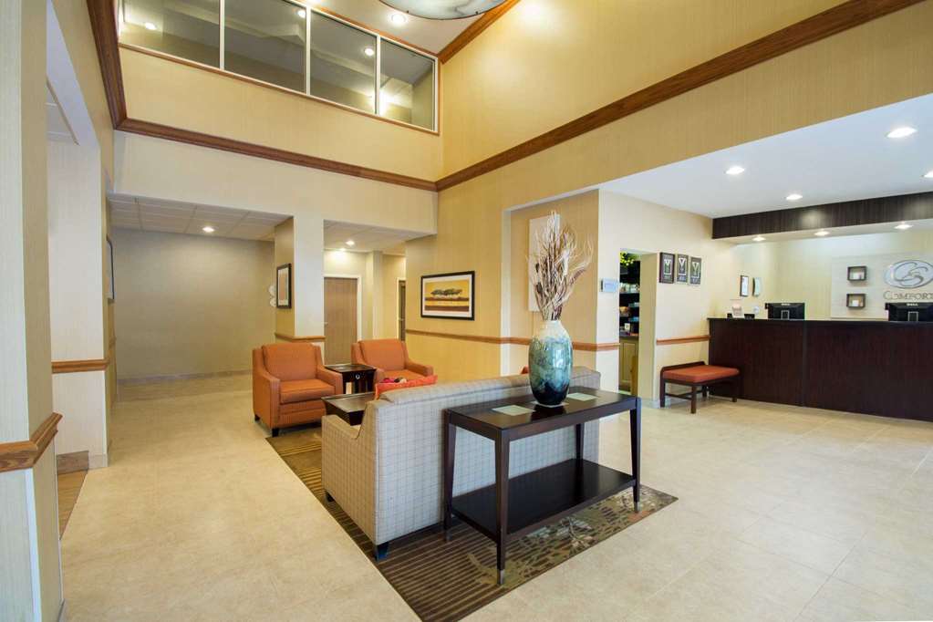 Comfort Near Universal Hotel Orlando