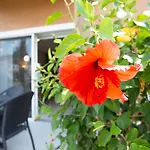 Berkley Lake Townhomes