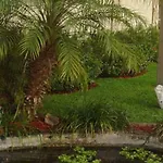 Budget Inn Of Winter Haven