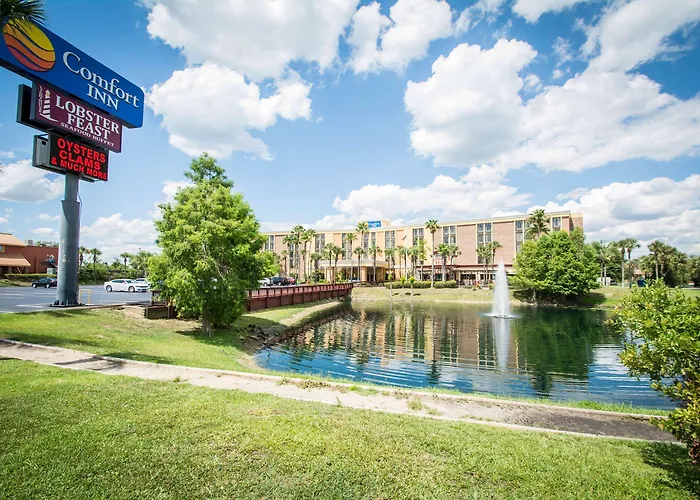 Comfort Inn & Suites Kissimmee By The Parks