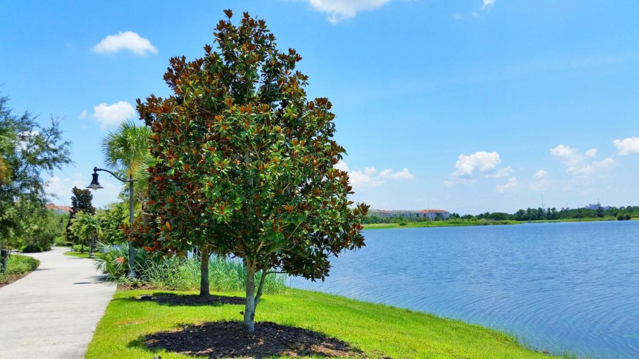 Apartment Newly Renovated Lakeview Vista Cay Orlando