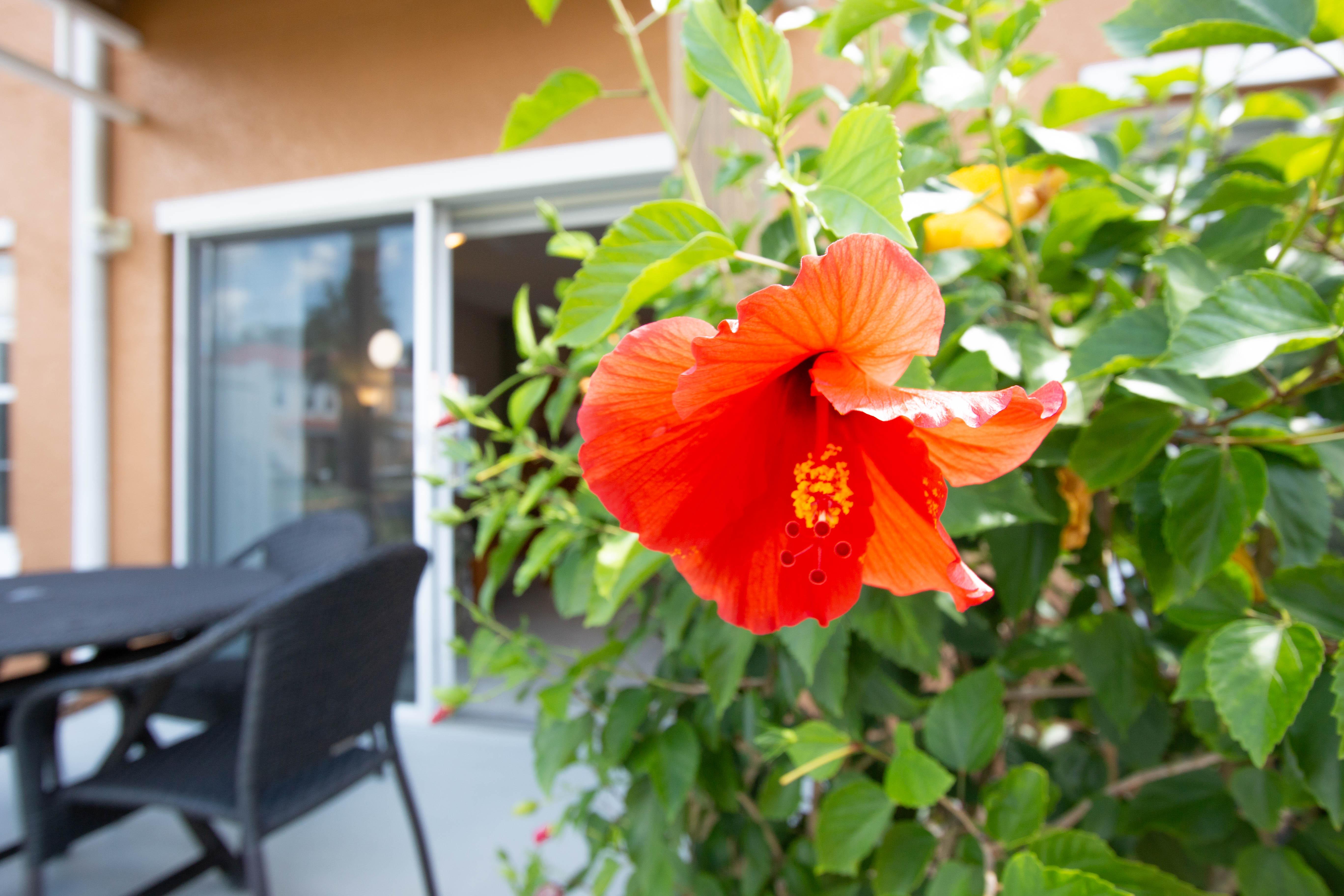 Berkley Townhomes Holiday home Kissimmee