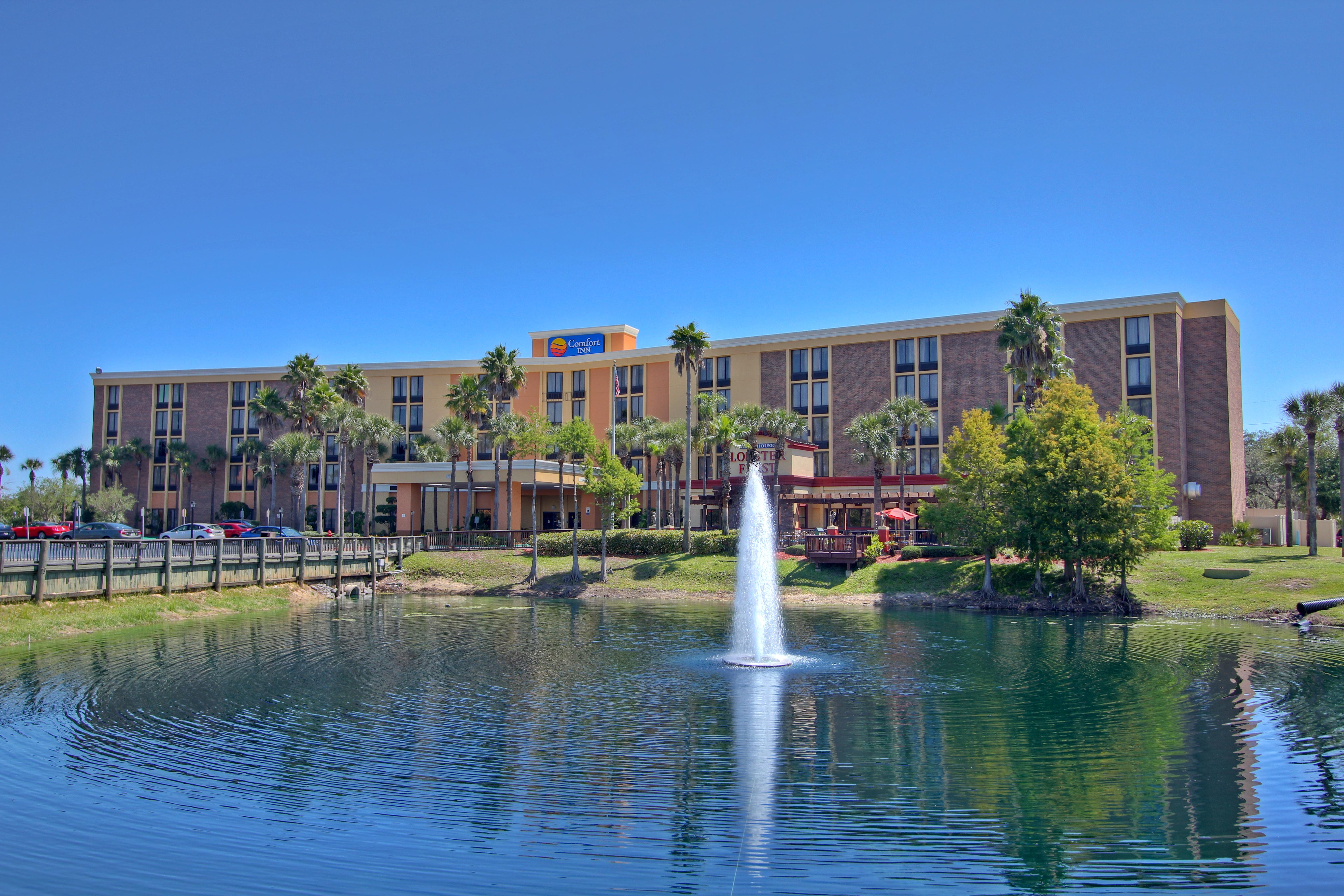 Comfort & Kissimmee By The Parks