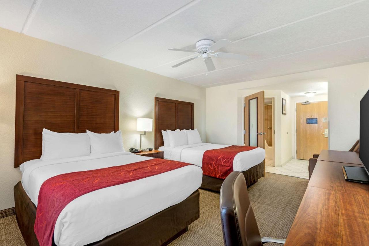 Inn Comfort Kissimmee-lake Buena Vista South Kissimmee