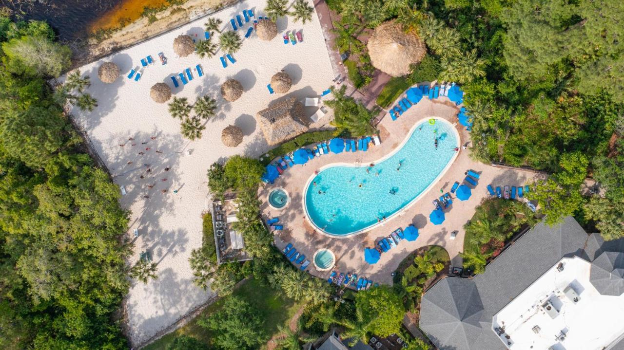 Cristina's Tropical Villa/ Just Minutes From Disney!