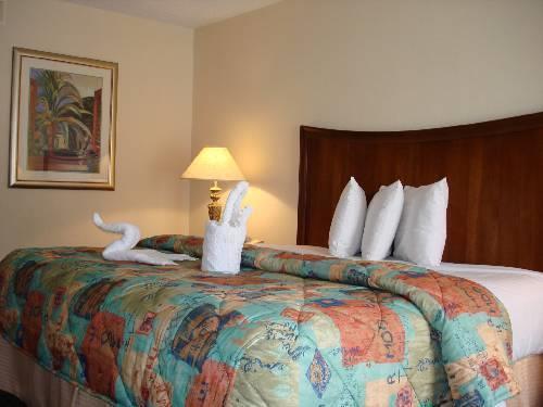 Villa The Palms And