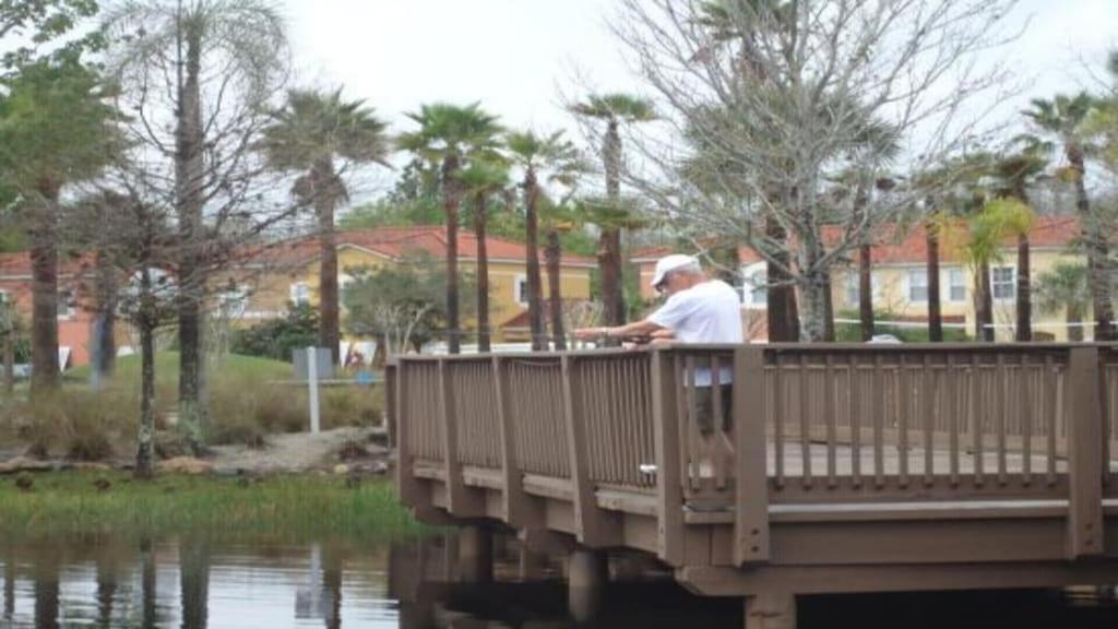 Holiday home Cozy Private At Terra Resort, South Facing Pool Spa, Near Disney, Seaworld