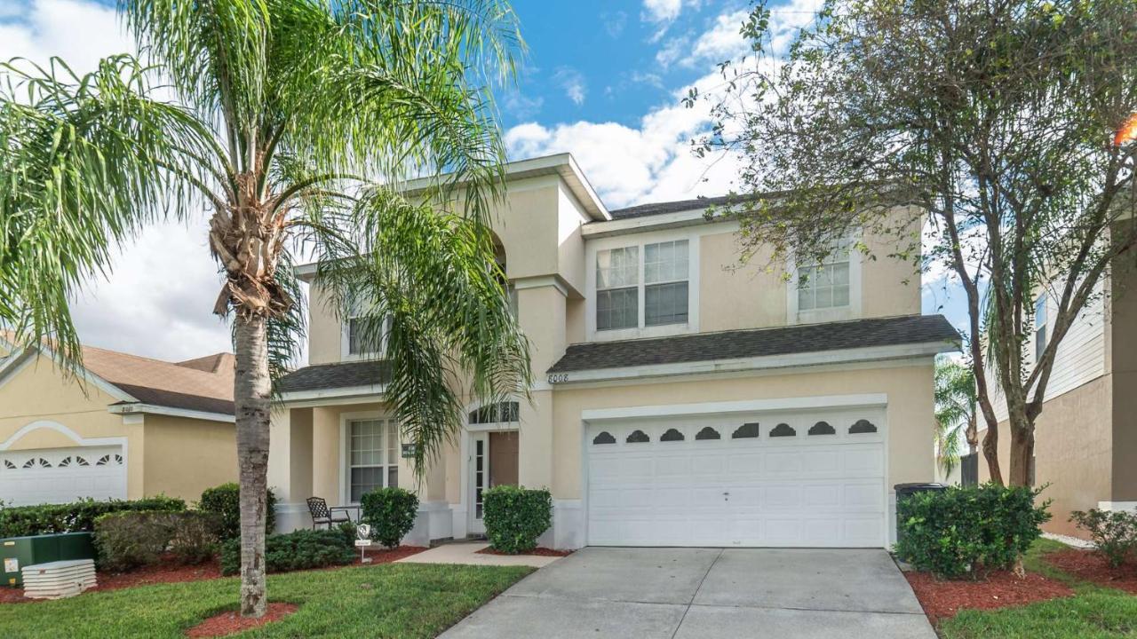 8008 King Palm *