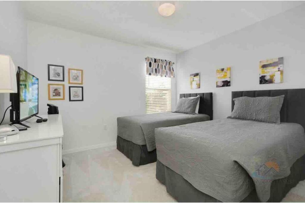 Highgate Oasis *