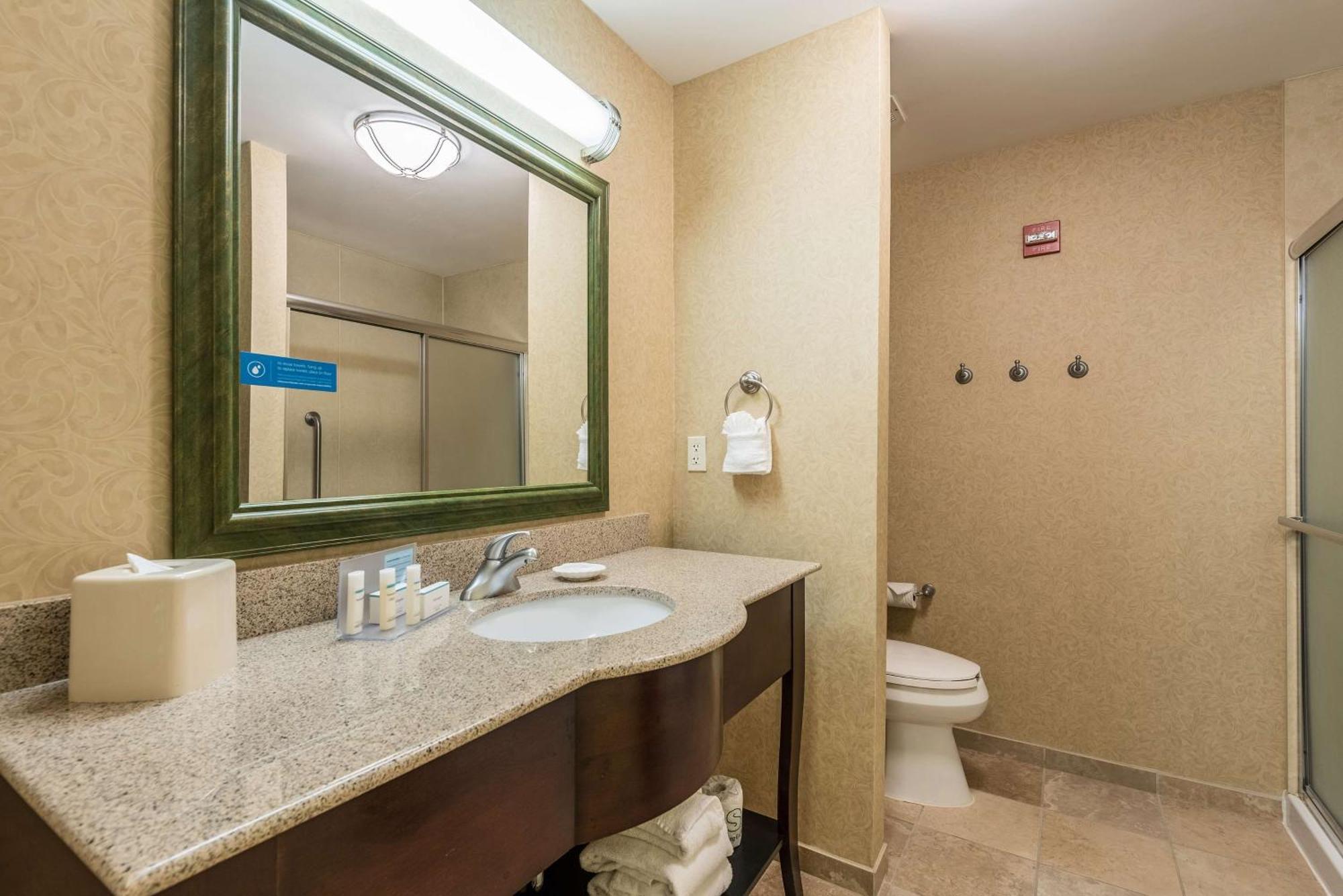 Hampton & Orlando-south Lake Buena Vista Hotel Kissimmee