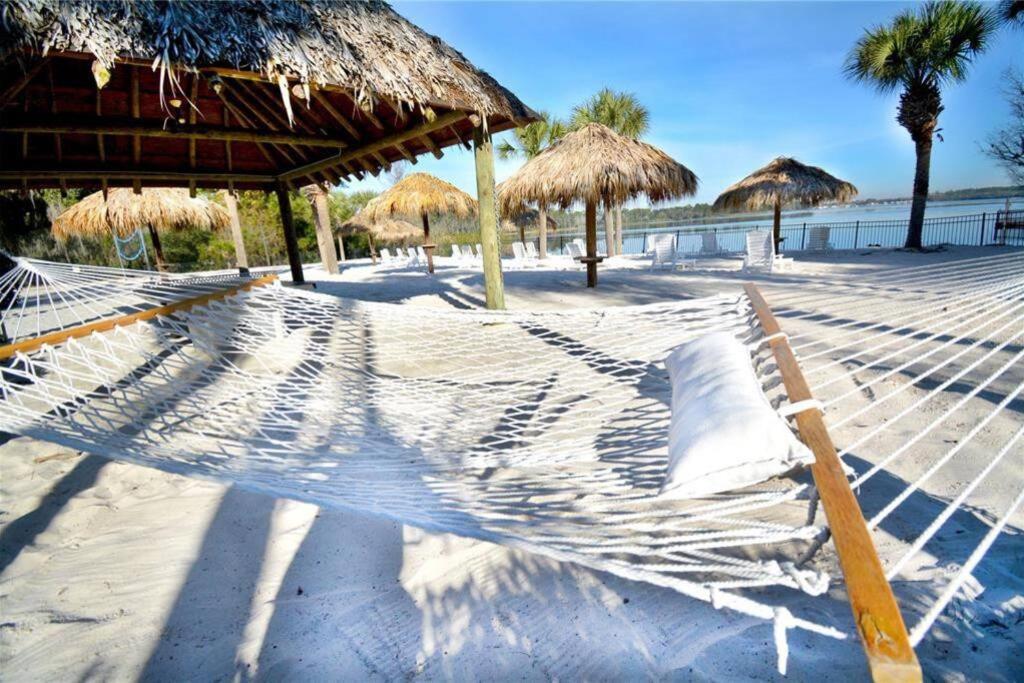 Your Choice To Enjoy Life And Fun In Orlando! *