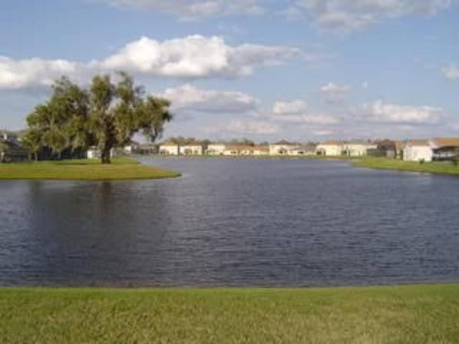Gone 2 Florida Four Corners