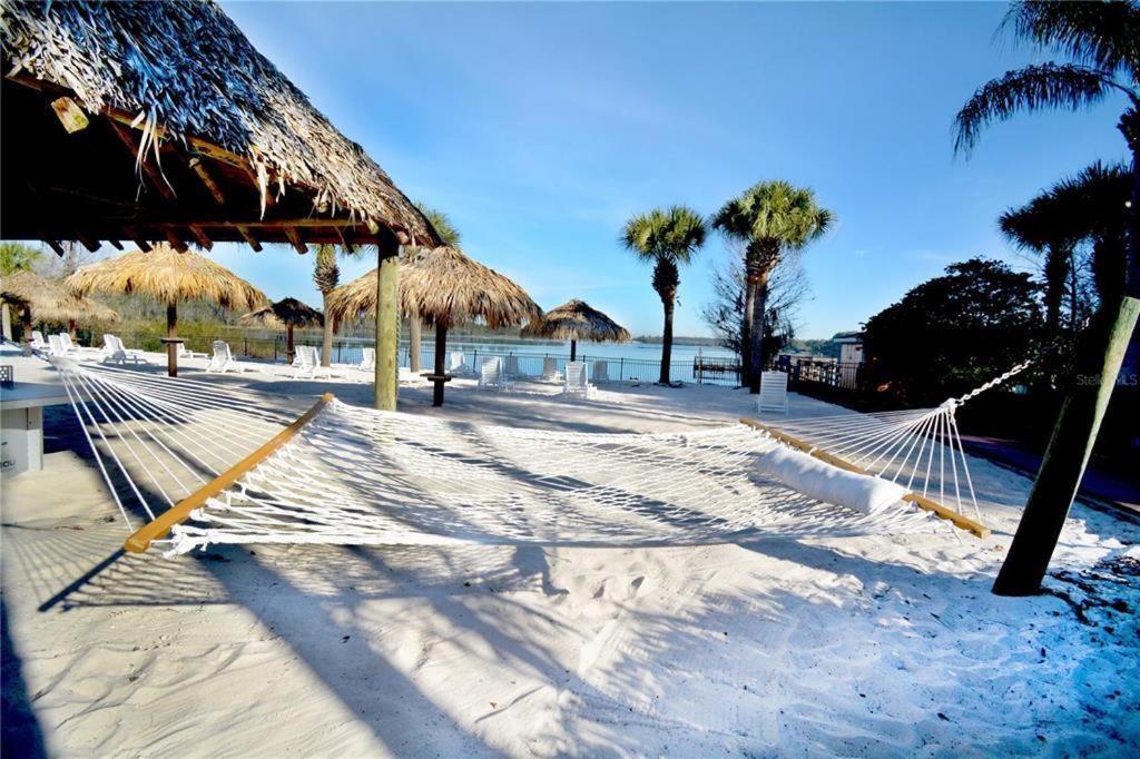 Enjoy Life And Fun At Orlandos Location