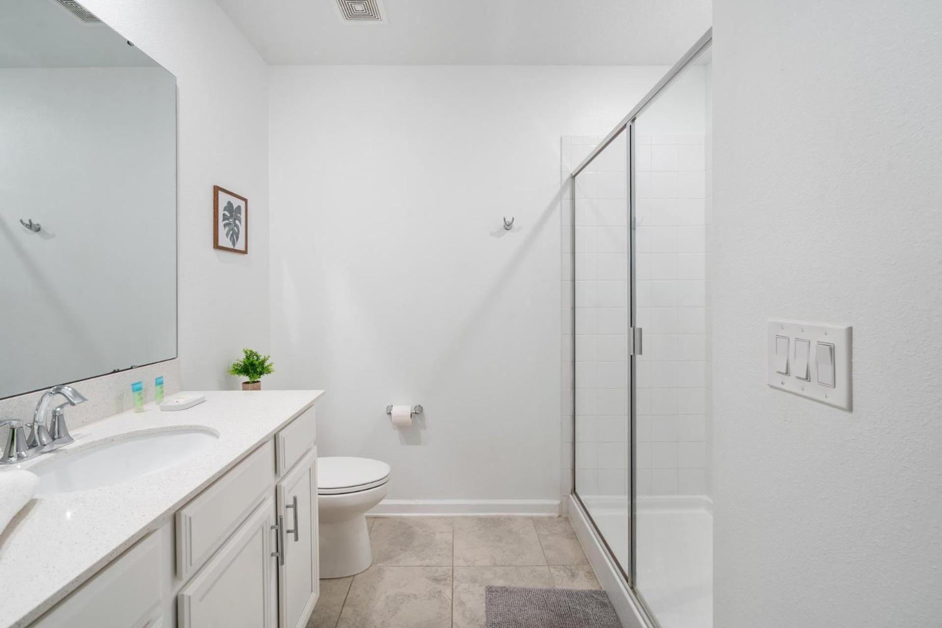 Apartment 977 Splash Shot