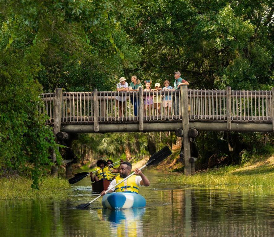 The At Disney's Wilderness
