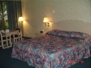 Hotel Royal