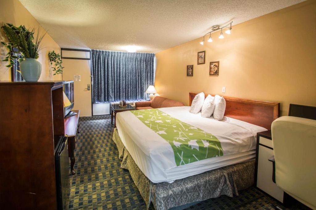 Hotel Quality Celebration