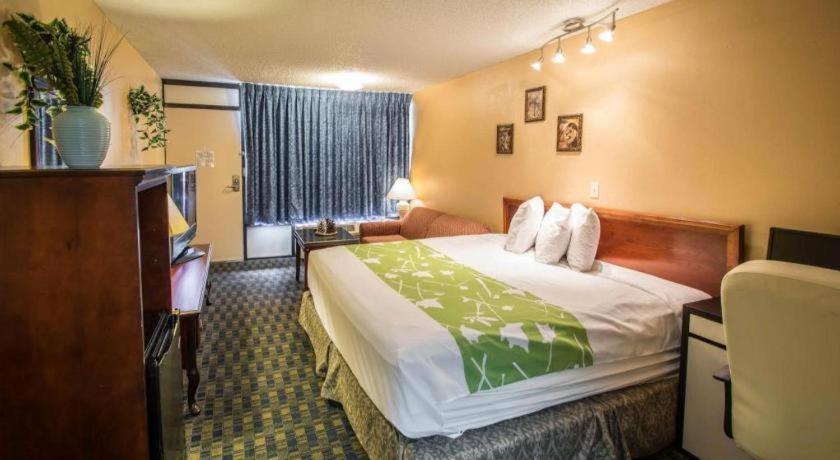 Hotel Quality