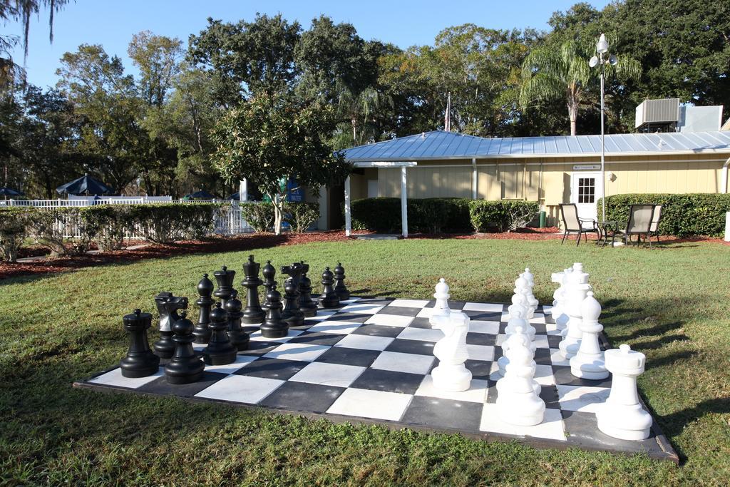 Holiday park Sherwood Forest 6 *