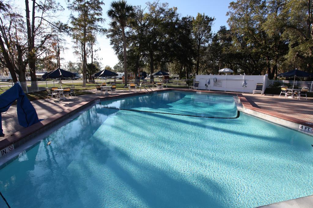 Holiday park Sherwood Forest Premium Loft 13 *