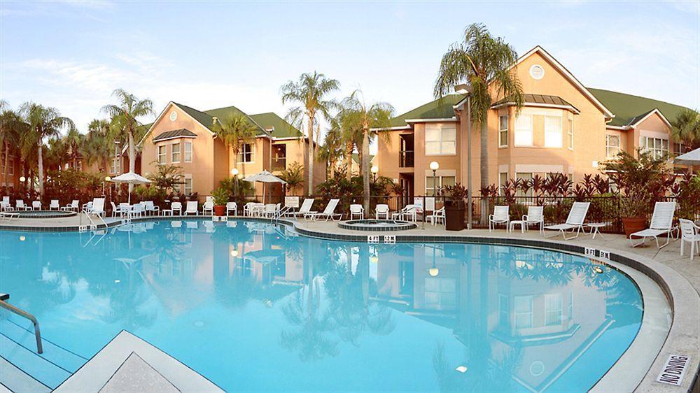 The Palms And *