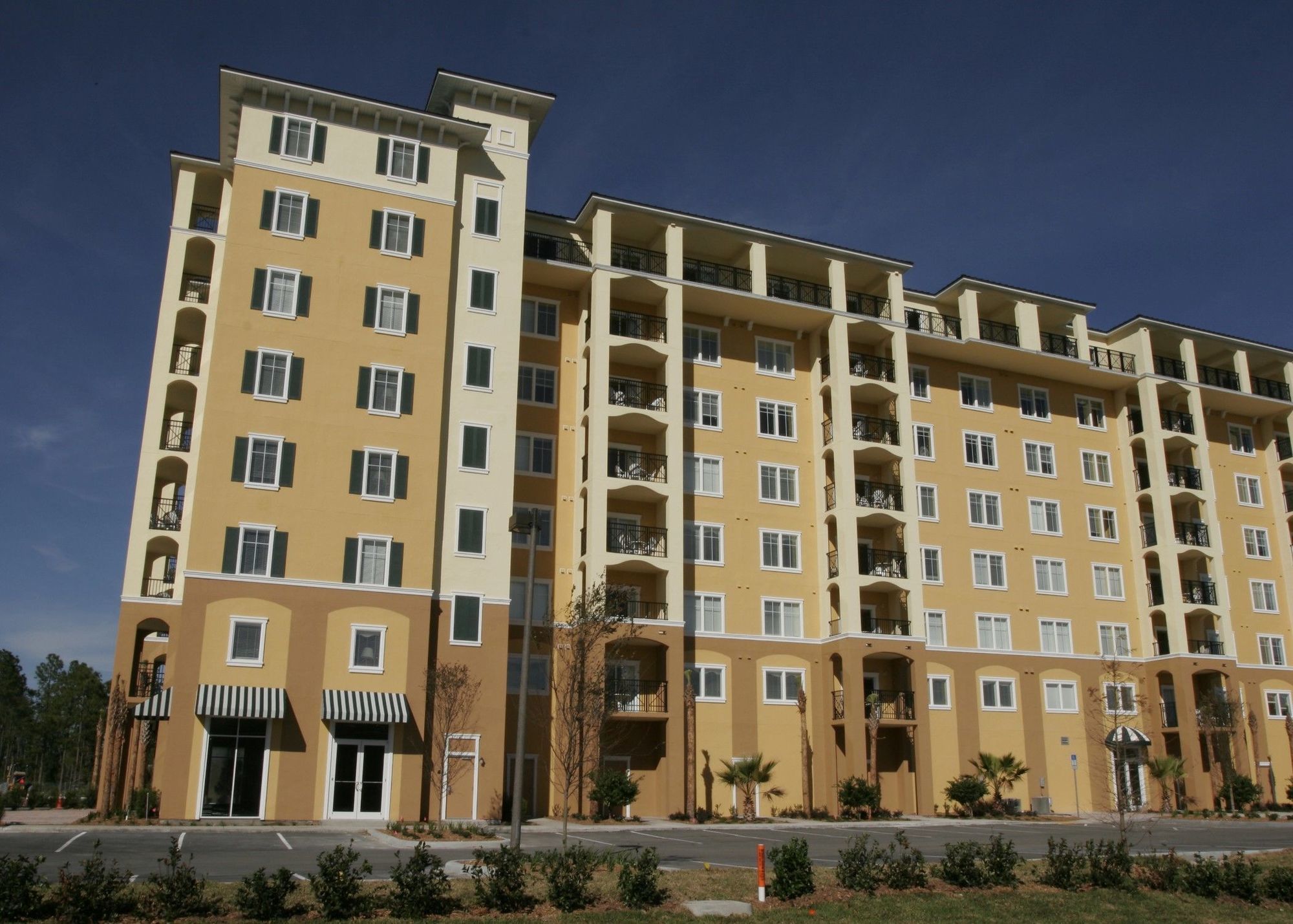 Buena Vista Village And Spa, Near