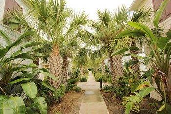 Resort Lucaya By Funquest Vacation 3*