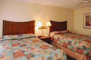 Villa The Palms And