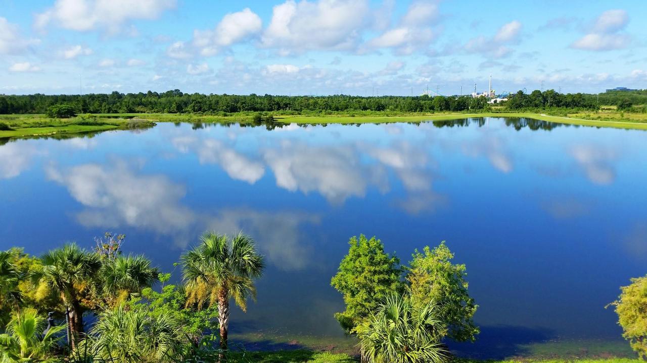 Lakeview Dreams * Kissimmee