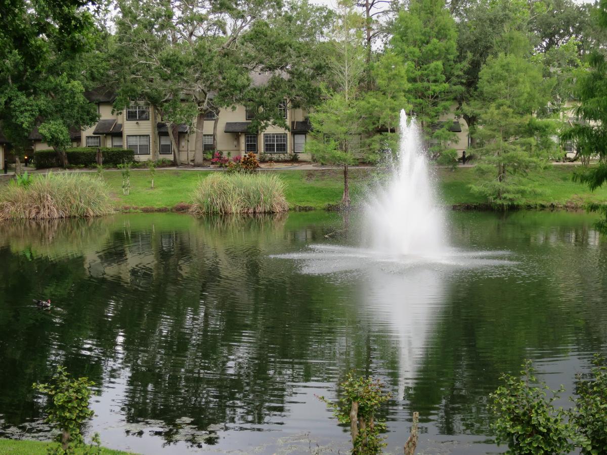 Oak Plantation 3* Kissimmee