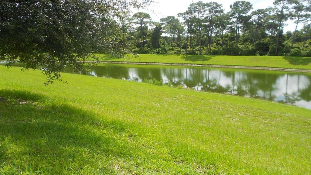Villa Florida Paradise Castle In Emerald Island Near