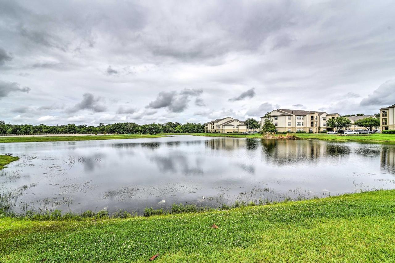 Apartment In With Hot Tub And Pool Access *