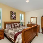 8038 King Palm