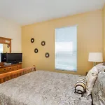 8038 King Palm
