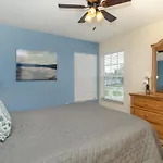 8038 King Palm
