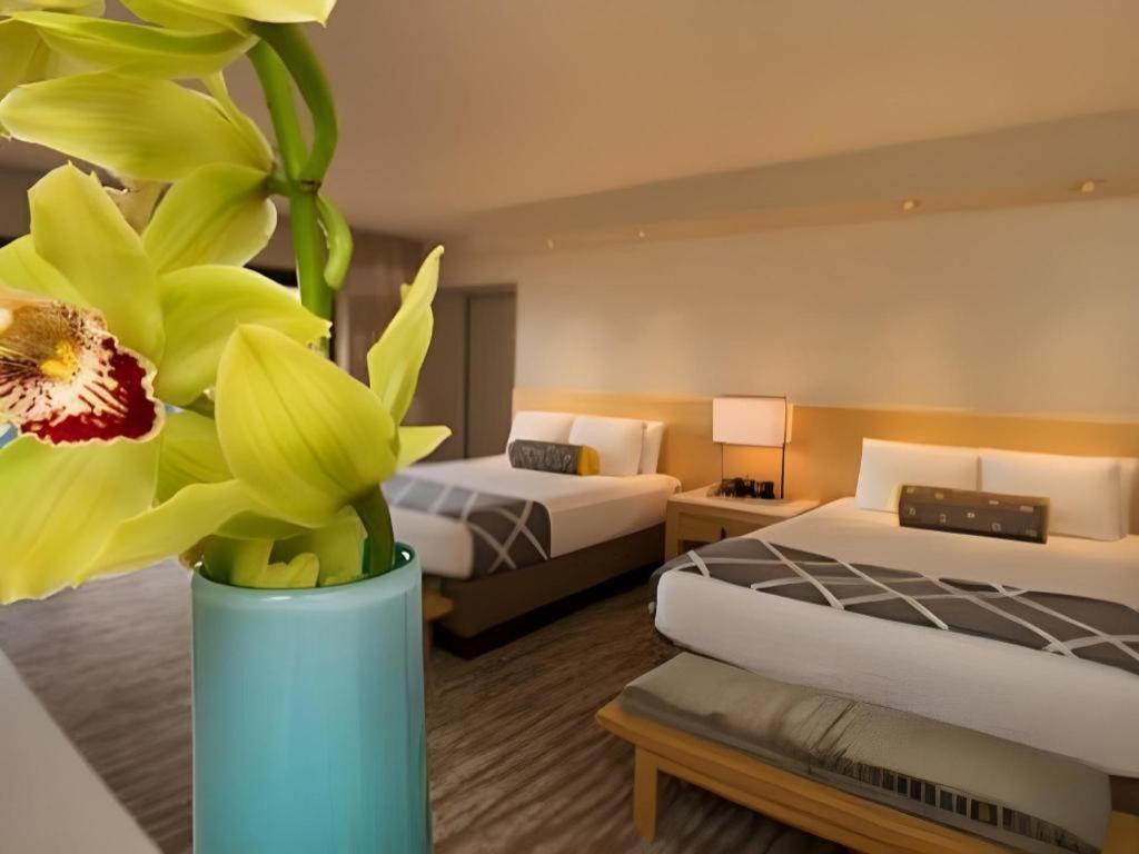 Disney's Contemporary 4*