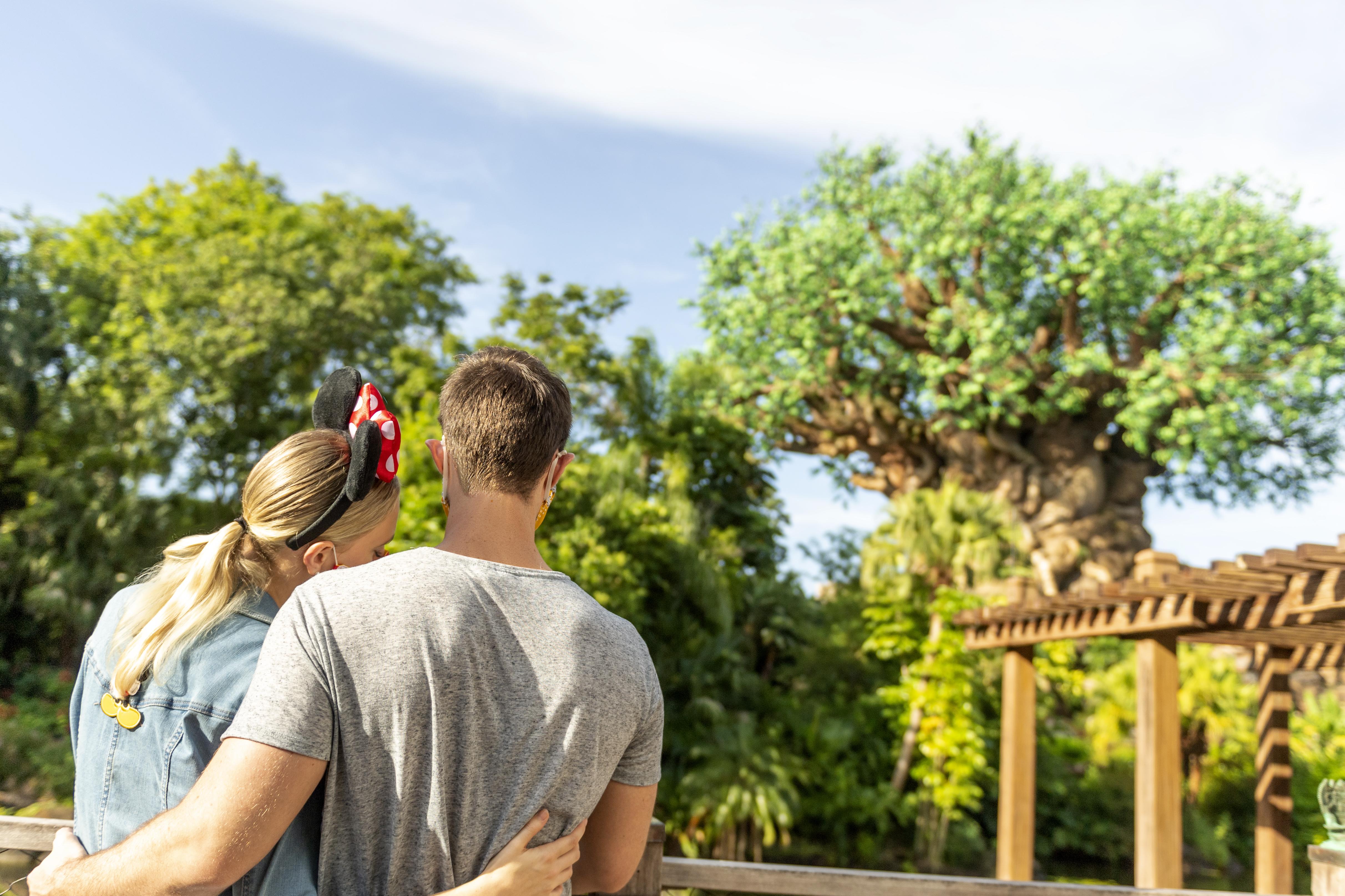 Hotel Boulder Ridge At Disney's Wilderness