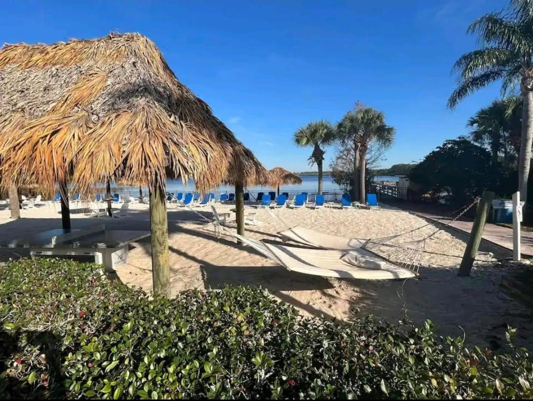 Area 3bd 2ba At Bahama Bay And Apartment