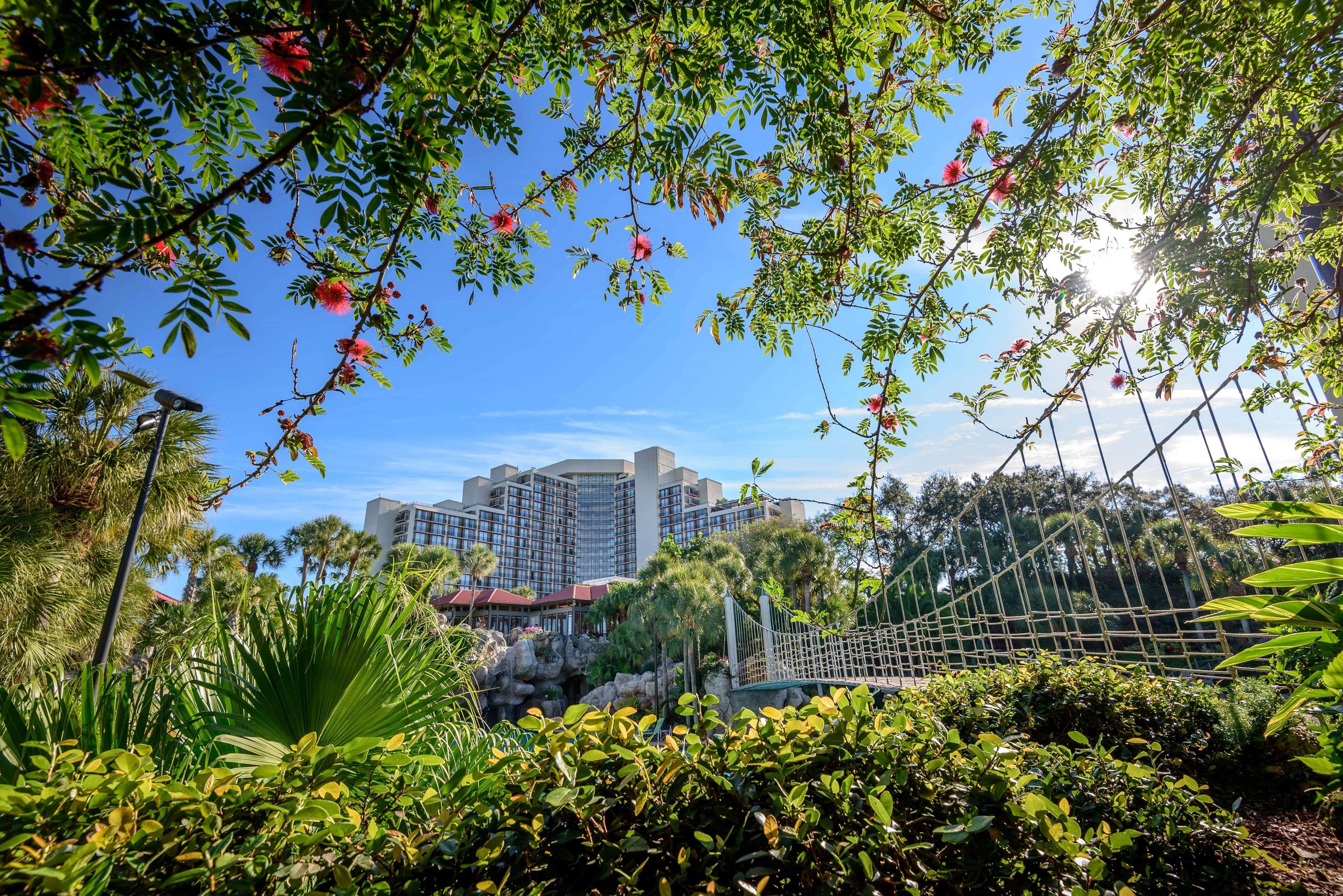 Resort Hyatt Regency Grand Cypress - Free Shuttle To Theme Parks! 4*