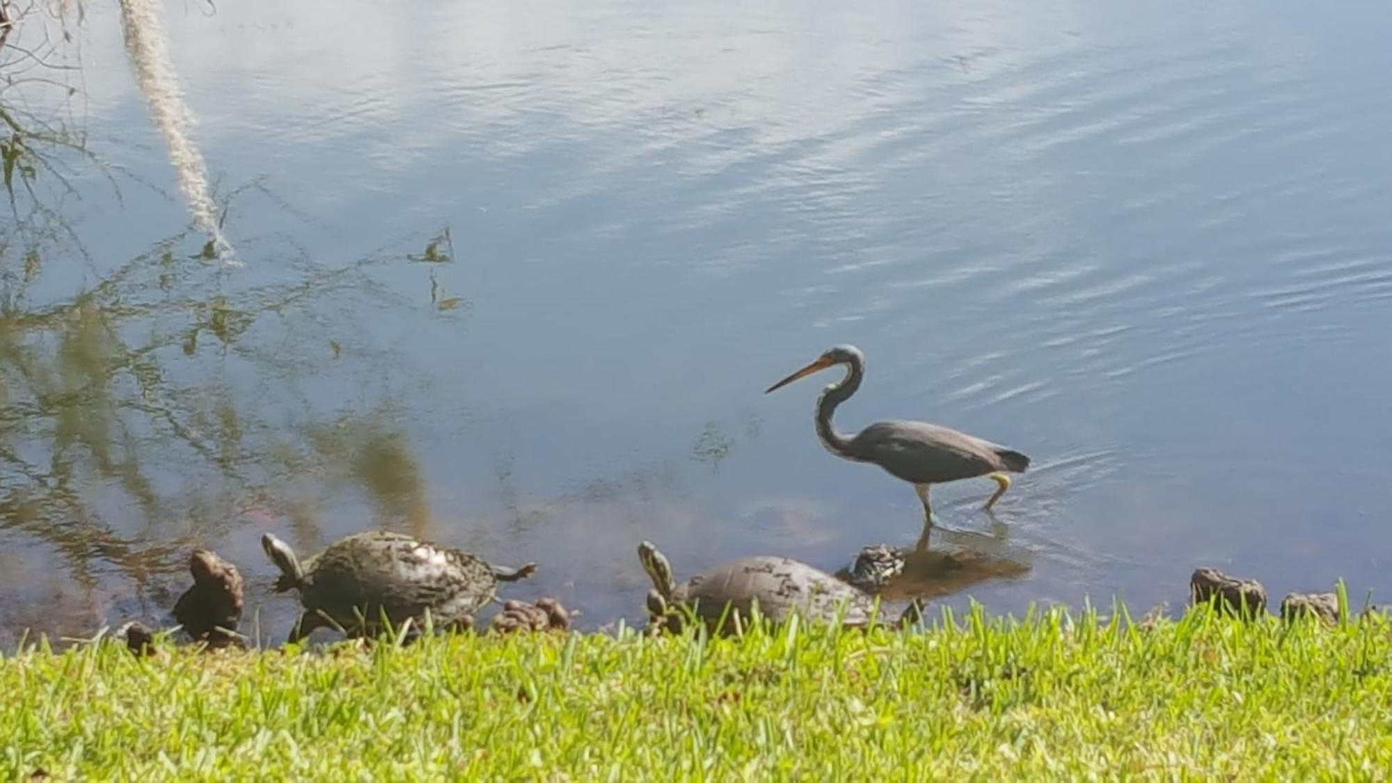 Apartment 16109 Bahama Bay Kissimmee