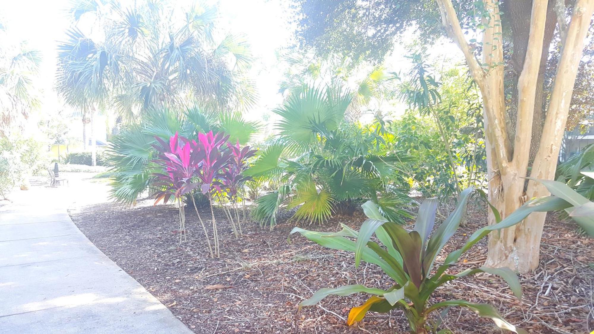 16109 Bahama Bay * Kissimmee