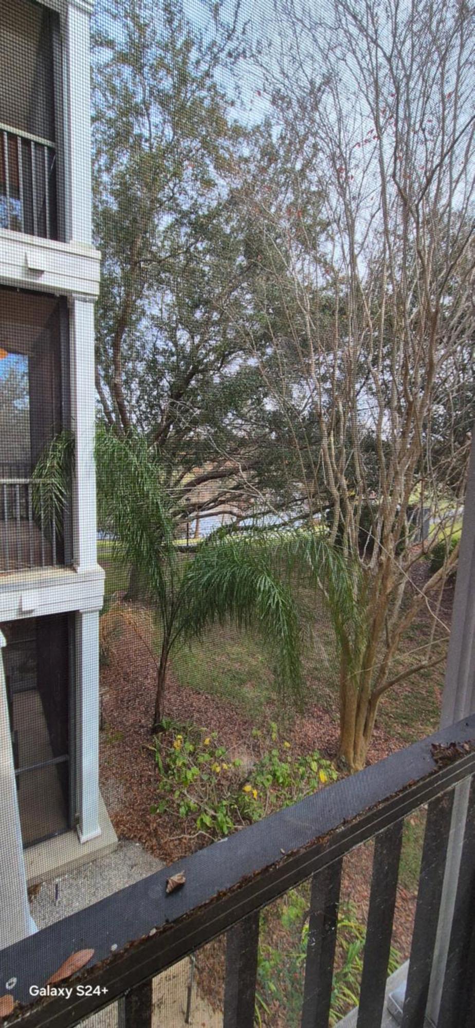 16109 Bahama Bay Apartment Kissimmee