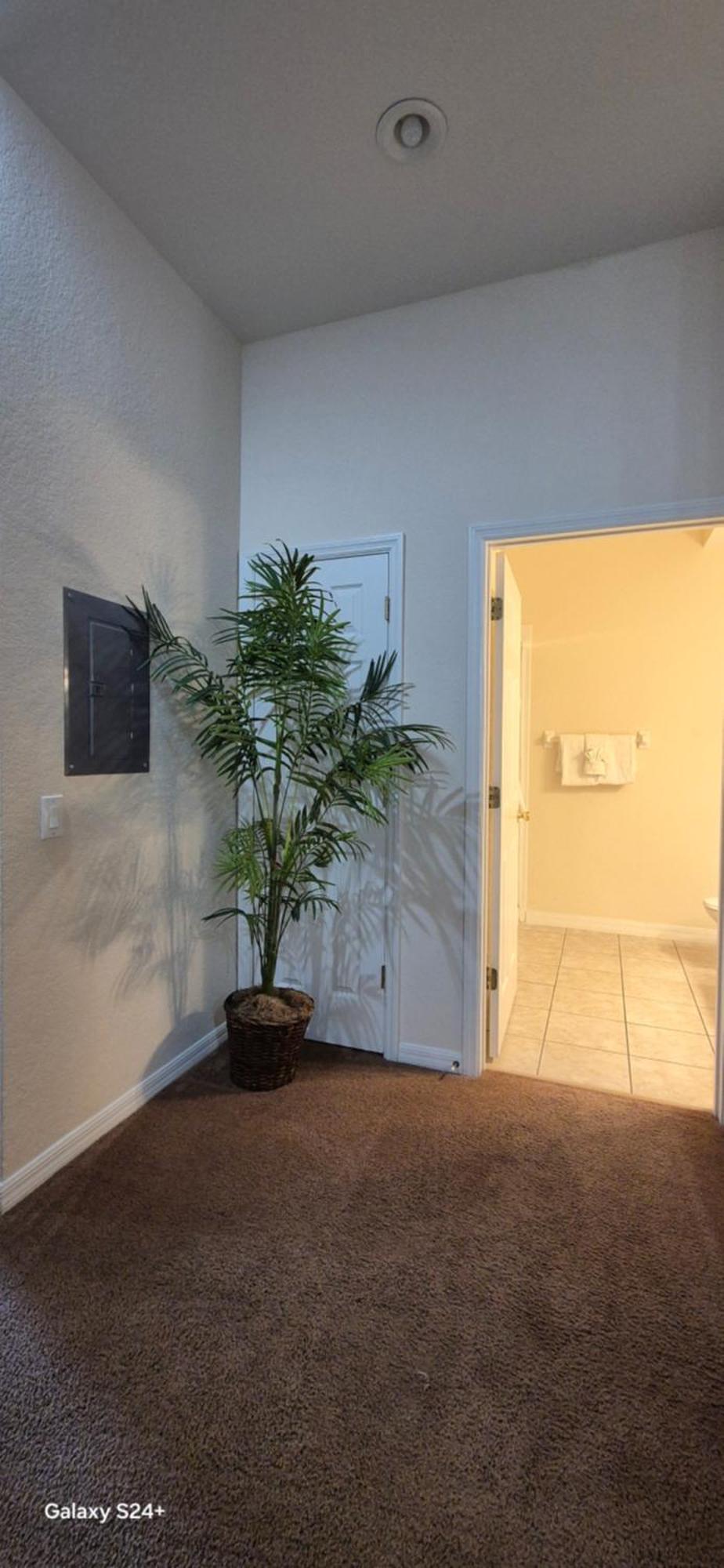 16109 Bahama Bay Apartment