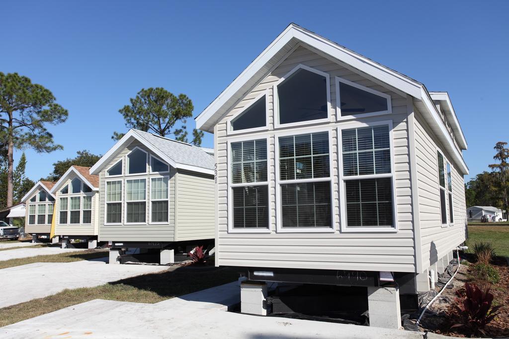 Sherwood Forest Premium Loft 13