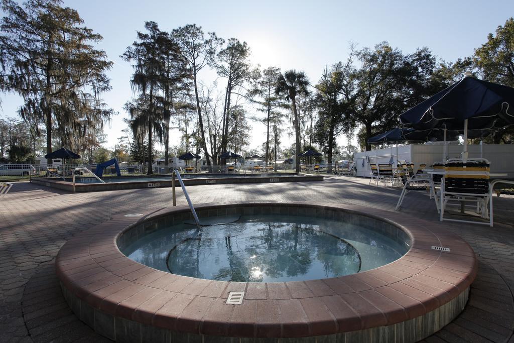 Sherwood Forest Premium Loft 13