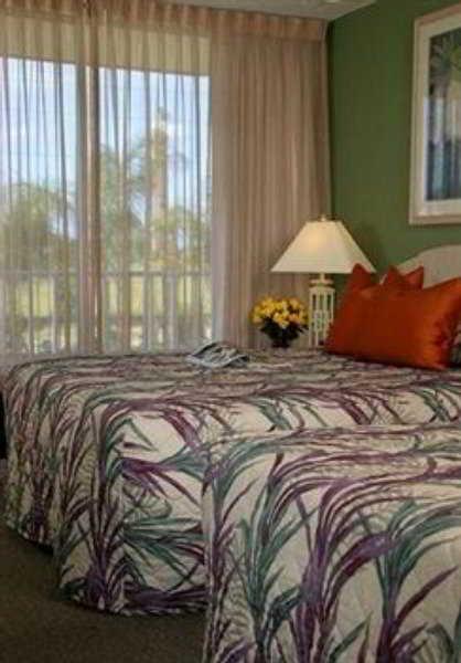 Magic Tree Hotel 3*